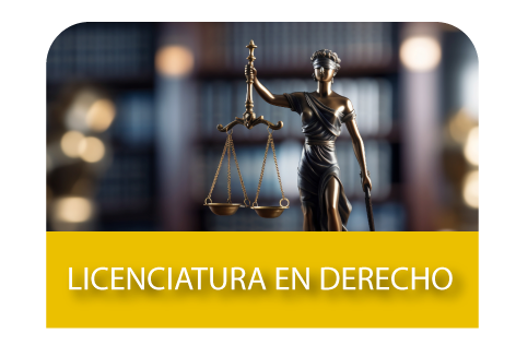 Licenciatura en Derecho